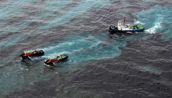 Экологическая страховка может стать обязательной для морских перевозок