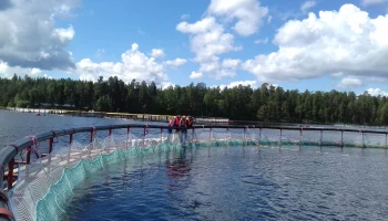 Страховщики выплатили рыбоводам России 1,6 млрд рублей за природные риски