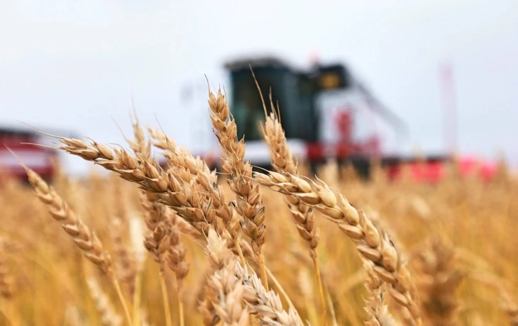 На Кубани предложили изменить порядок субсидирования агрострахования