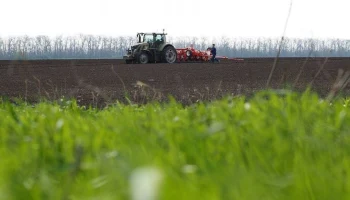 В России застраховали более 15,3 млн га посевов под урожай 2025 года