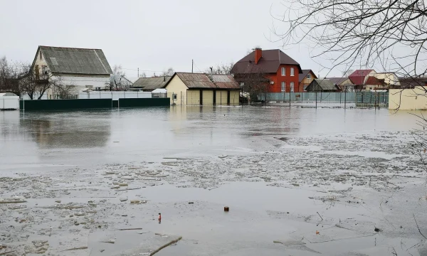 Повышение уровня воды в Звериноголовском округе: губернатор о масштабе проблемы и продолжающейся эвакуации