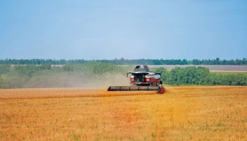 В ЛНР с 2026 года заработает механизм страхования агрорисков