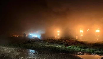 Страховщики выплатили 59 млн рублей за сгоревших свиней на Сахалине