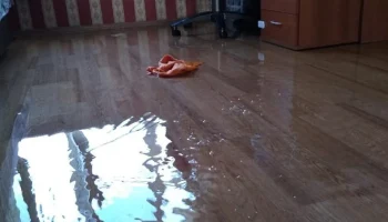 Петербуржец, получивший миллионы за затопленную квартиру, обжалует решение суда