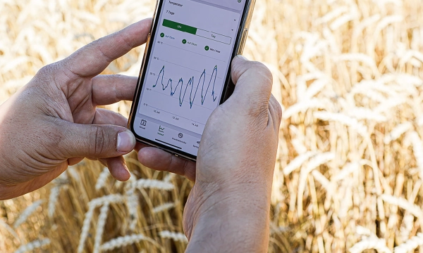 ИИ в 50 раз ускорил оценку ущерба в российском агростраховании ИИ в 50 раз ускорил оценку ущерба в российском агростраховании