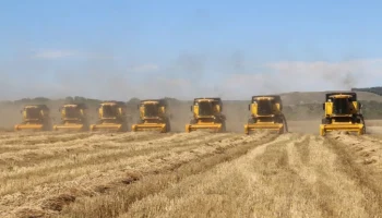 Аграрии Башкирии удвоили застрахованные площади посевов в 2024 году