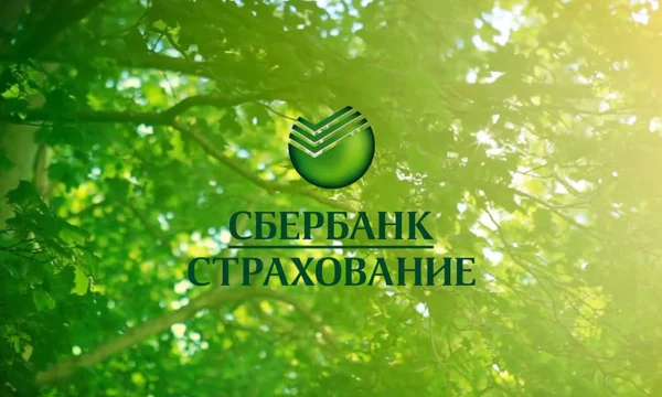 Как страховка помогает погасить миллионные кредиты: СберСтрахование жизни выплатила 12,8 млрд рублей и запустила выплаты за 5 минут