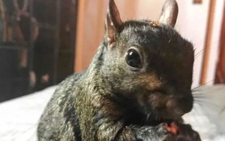 В &laquo;Ингосстрахе&raquo; назвали самые необычные страховые случаи с туристами за рубежом