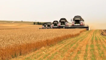 Упрощение субсидирования повысит спрос на агрострахование в Крыму на 10-15%