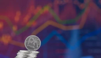 Страховой рынок Ленобласти растет: сборы увеличились на 10% в первом полугодии 2024 года