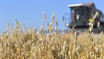 Агростраховщики выплатили более 2,2 млрд рублей аграриям Кубани и Ставрополья