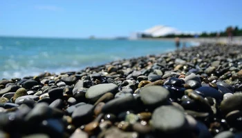 «Абсолют Страхование» предложит скидку на полисы для путешествий