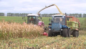 Аграриям Мордовии упростили получение субсидий на страхование урожая