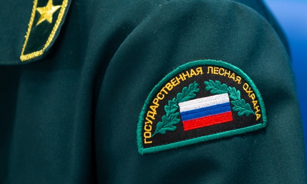 Совет Федерации подготовил проект о страховании и росте зарплат лесной охраны