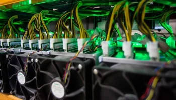 Зеленый майнинг в России: как отходы животноводства могут стать источником энергии для криптовалют