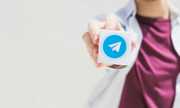 Треть российских инвесторов полагается на советы из Telegram-каналов