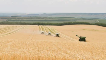 Агрострахование в России выходит на новый этап развития