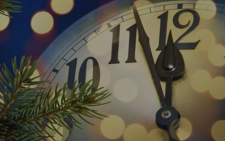 Треть россиян одобрила двенадцатидневные новогодние каникулы 2026 года