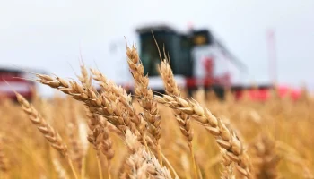 На Кубани предложили изменить порядок субсидирования агрострахования