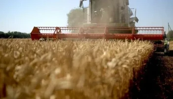 На Юге России застраховали 4,3 млн га посевов под урожай 2025 года