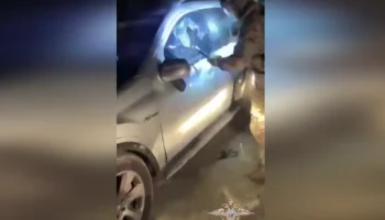 Автоподставы на миллионы: в Новосибирске накрыли крупную сеть страховых аферистов