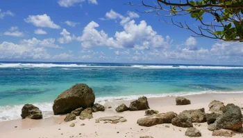 Туристы из России на Бали не сообщают о случаях лихорадки Денге