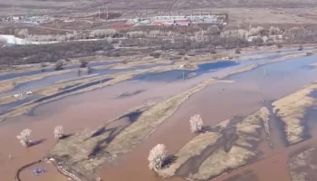 НСА выразило готовность возместить убытки фермеров из Оренбурга