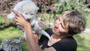 Страховая компания выплатила 2 млн рублей семье погибшей сотрудницы крымского зоопарка