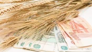 Проблемы агрострахования и кредитования в Алтайском крае: скептицизм фермеров