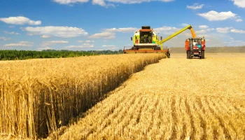 Страховой щит для урожая: названы регионы-лидеры по защите посевов в 2025 году