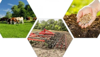 Совет Федерации усилит законодательную базу агрострахования: приоритеты и планы развития АПК