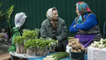 Дефицит Социального фонда в 780 млрд рублей: риски и перспективы для системы