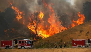 Рекордные выплаты: страховые компании оценили ущерб от пожаров в Лос-Анджелесе в 40 миллиардов долларов