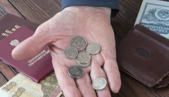 Депутаты ЛДПР предложат ограничить взыскания с пенсий по старости порогом в 30 процентов