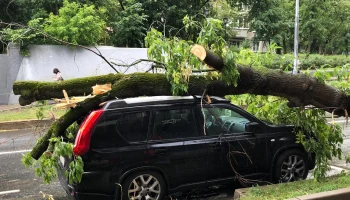 Иллюзия защиты: почему урезанное каско оставило москвичей без денег