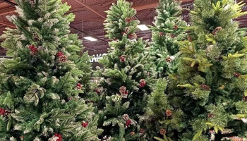 Каждый четвертый россиянин украшает елку в одиночку — данные опроса