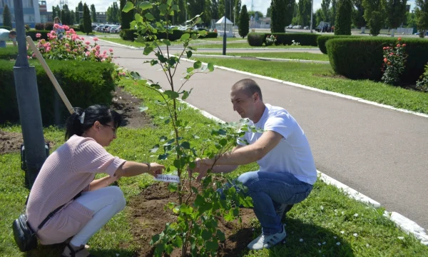 "Росгосстрах" озеленяет Ярославский парк: сотрудники компании высадили деревья в "Юбилейном"