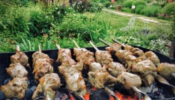 Шашлыки, дача и стресс для желудка: как пережить лето без проблем с пищеварением