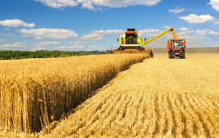 Страховой щит для урожая: названы регионы-лидеры по защите посевов в 2025 году