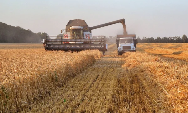 Россия утвердила дополнительную тарифную квоту на экспорт зерна