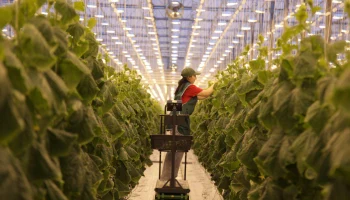 &laquo;РСХБ-Страхование&raquo; застраховало уральский агрокомплекс на 2,5 млрд рублей