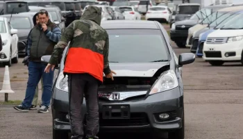 Госдума упростила регистрацию автомобилей и ужесточила правила уплаты утильсбора