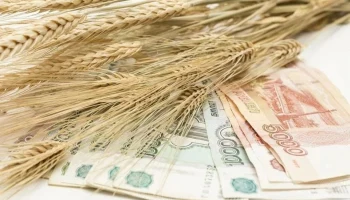 ​Страховщики РФ выплатили аграриям рекордные 10,8 млрд рублей за 2025 год