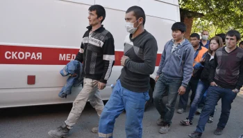 Невидимый код здоровья: как цифровая революция в страховании изменит жизнь миллионов мигрантов в России