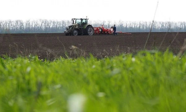 В России застраховали более 15,3 млн га посевов под урожай 2025 года