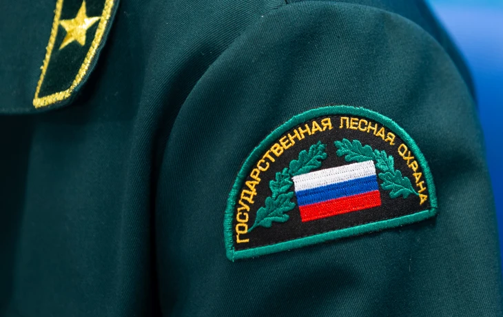 Совет Федерации подготовил проект о страховании и росте зарплат лесной охраны