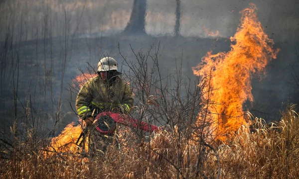 За последние сутки в России было ликвидировано 35 природных пожаров
