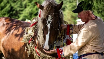 «ЭНЕРГОГАРАНТ» выступил партнером фестиваля «Именины коня» в Удмуртии