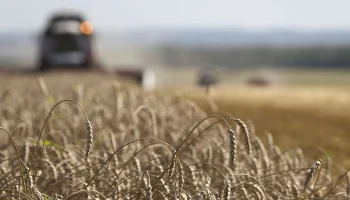 Климатические качели: как российские аграрии балансируют на грани стихии