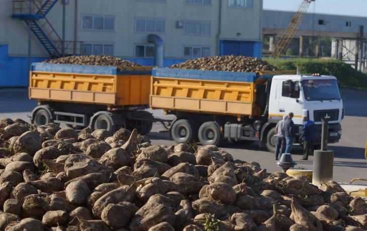 АльфаСтрахование возместила ущерб от свёклы, повредившей внедорожник на трассе